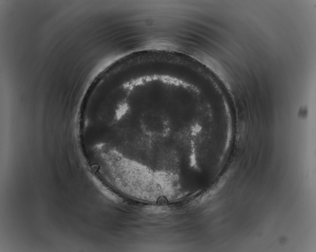 X0000102031037200808081807