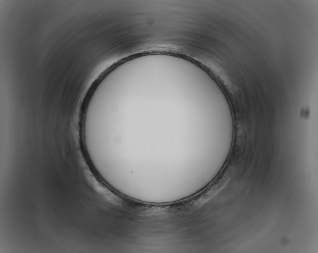 X0000102031038200808081807