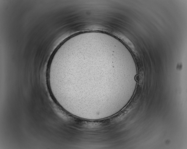 X0000102031039200808081807