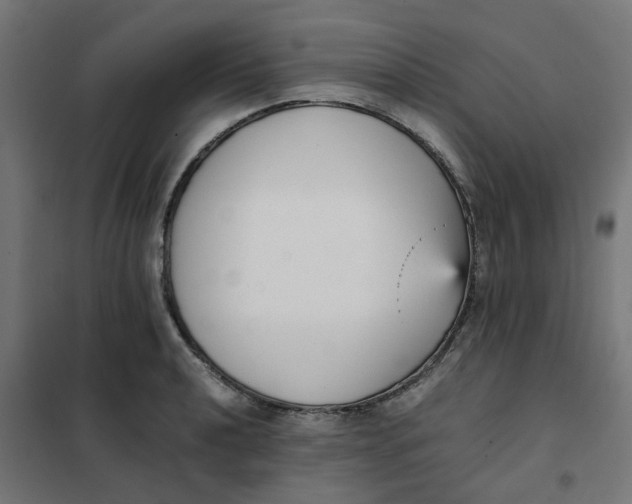 X0000102031040200808081807