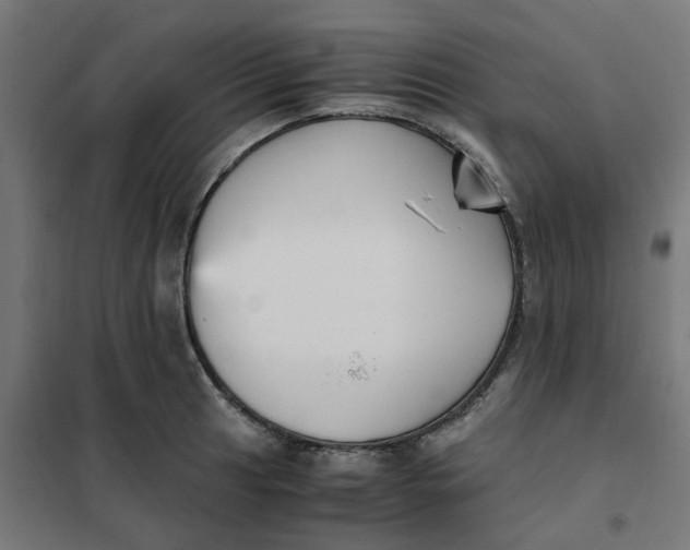 X0000102031041200808081807