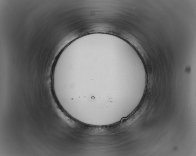 X0000102031042200808081807