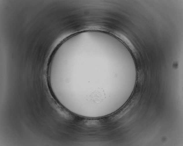 X0000102031043200808081807