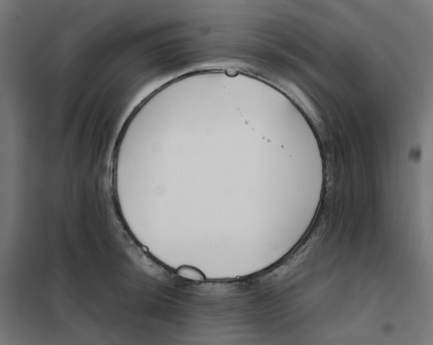 X0000102031044200808081807