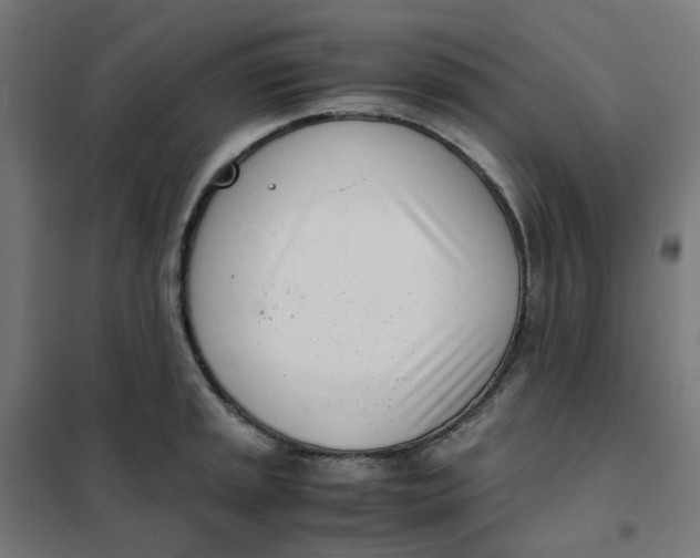 X0000102031045200808081807