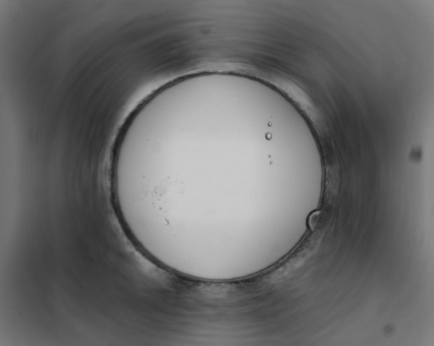 X0000102031046200808081807