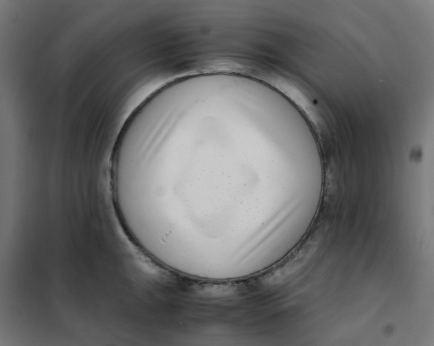 X0000102031047200808081807