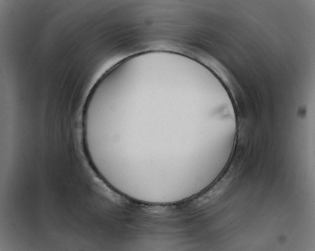 X0000102031048200808081807