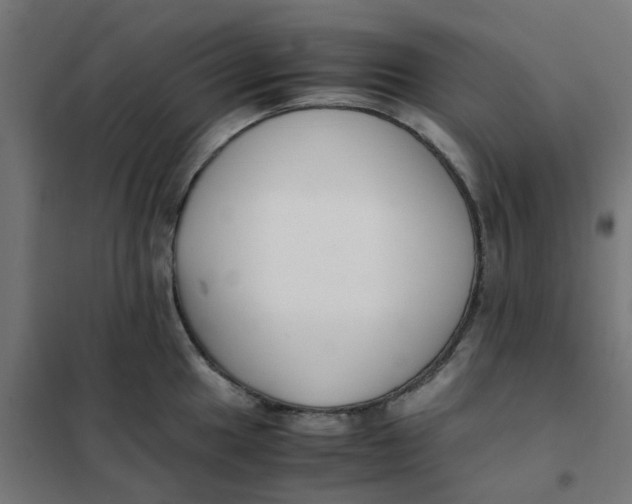 X0000102031049200808081807