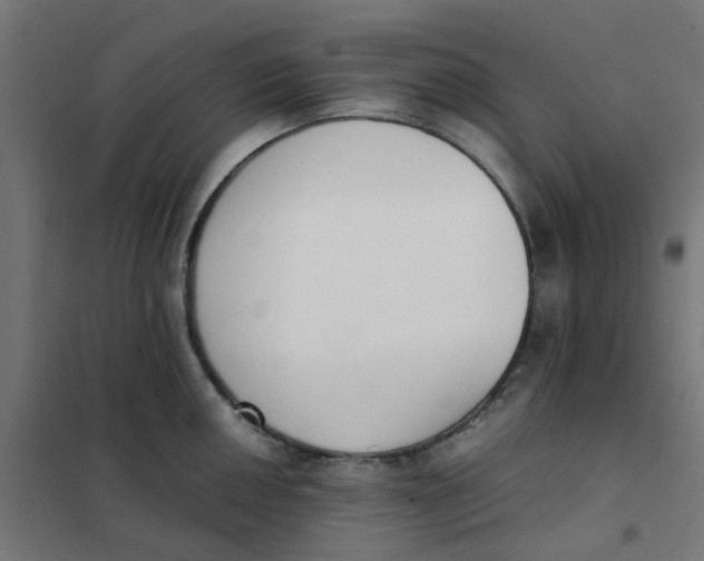 X0000102031050200808081807