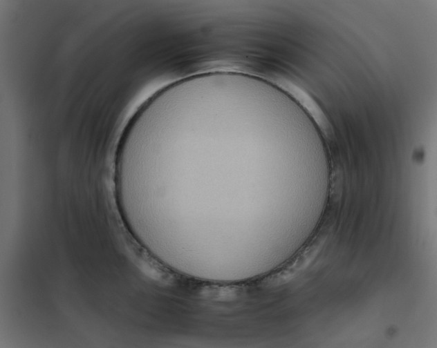 X0000102031051200808081807