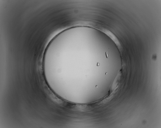 X0000102031052200808081807