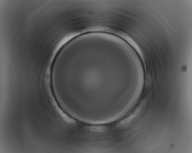 X0000102031053200808081807