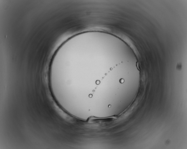 X0000102031054200808081807