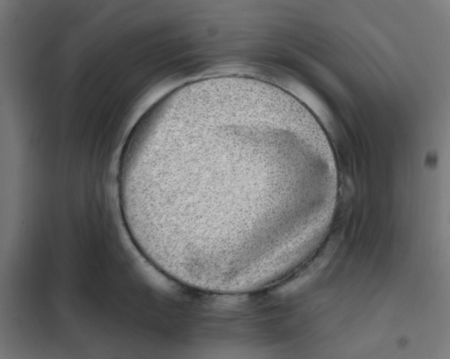 X0000102031055200808081807