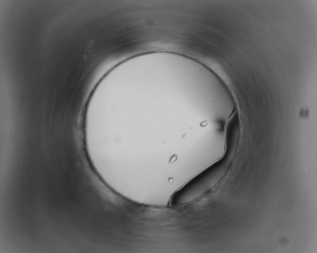 X0000102031056200808081807