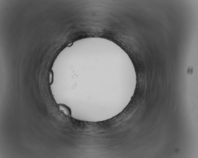 X0000102031057200808081807