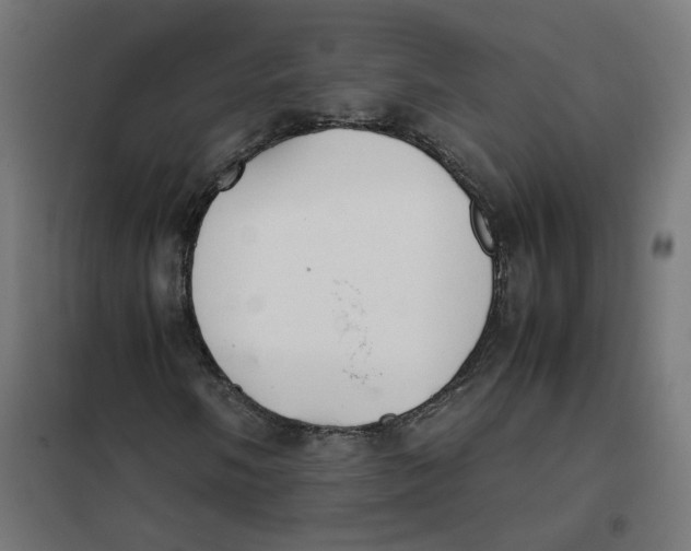 X0000102031058200808081807