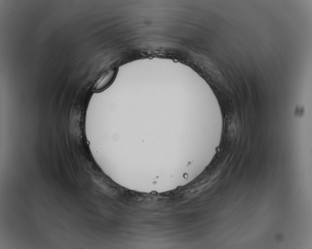 X0000102031060200808081807