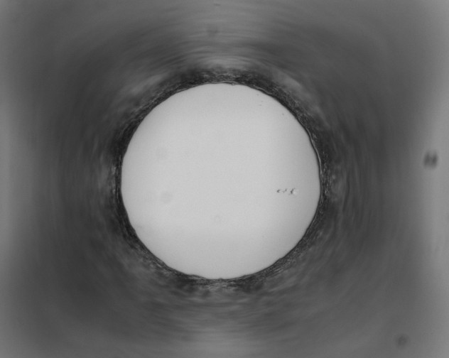 X0000102031061200808081807