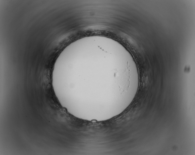 X0000102031062200808081807