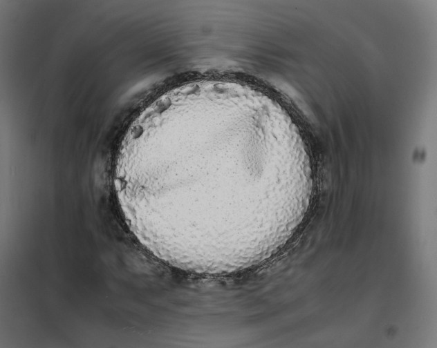 X0000102031063200808081807