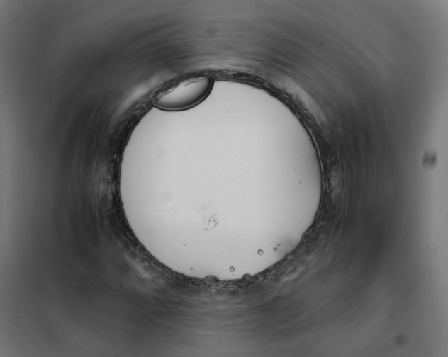 X0000102031064200808081807