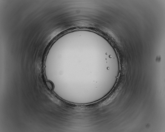 X0000102031065200808081807