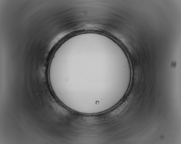 X0000102031066200808081806