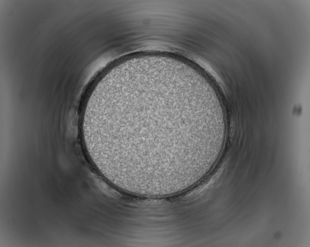 X0000102031067200808081806