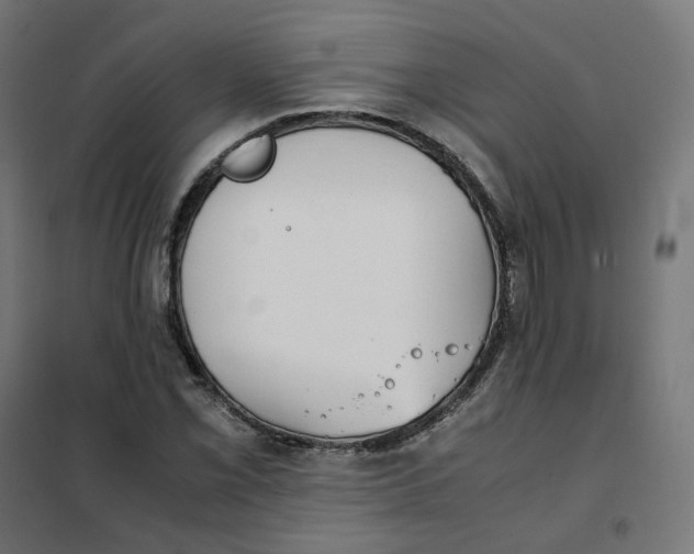 X0000102031069200808081806