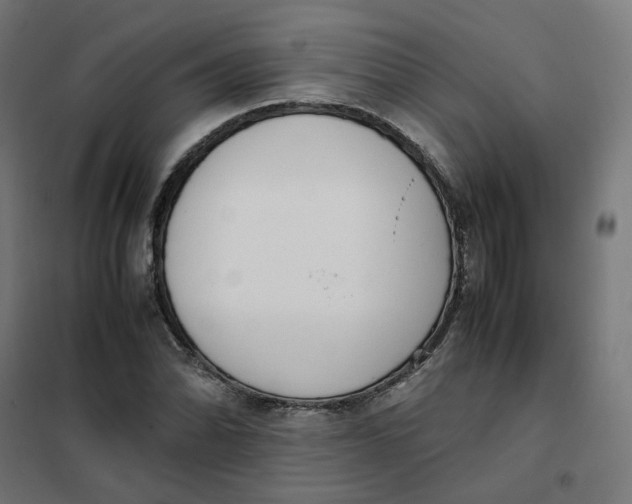 X0000102031070200808081806