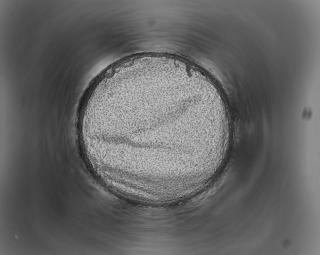 X0000102031071200808081806