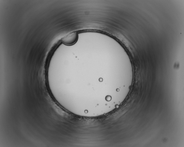 X0000102031072200808081806