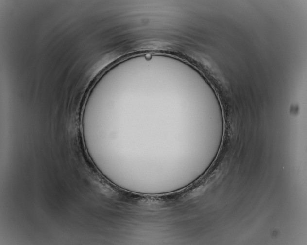 X0000102031073200808081806