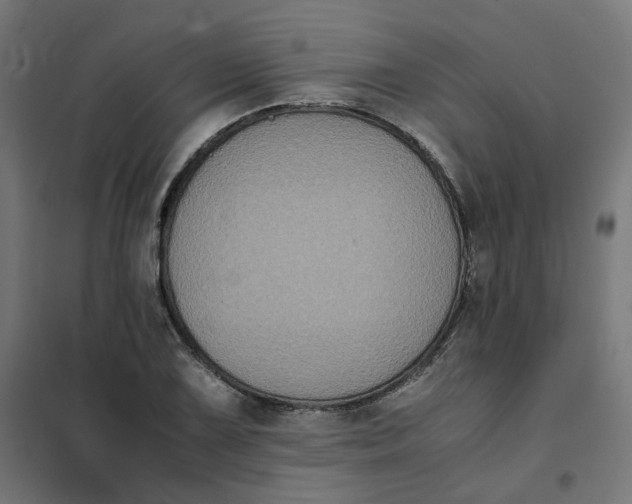 X0000102031075200808081806