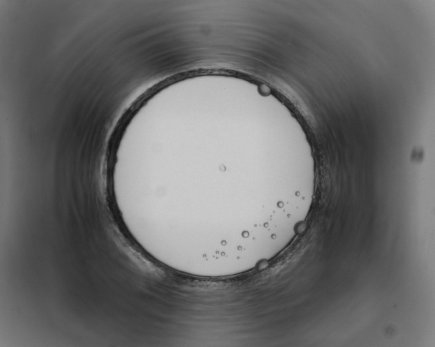 X0000102031076200808081806