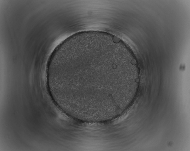 X0000102031077200808081806