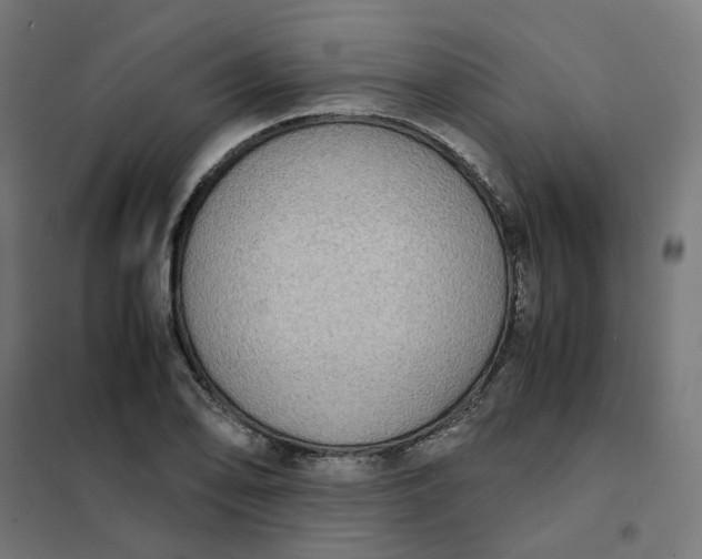 X0000102031078200808081806