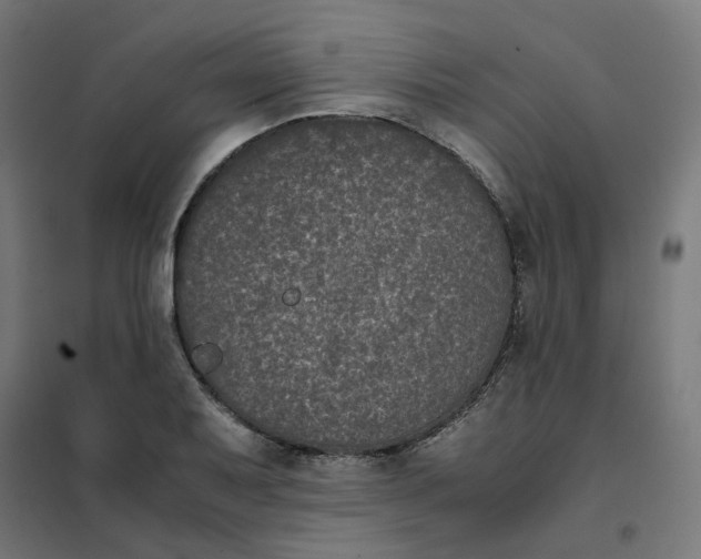 X0000102031079200808081806