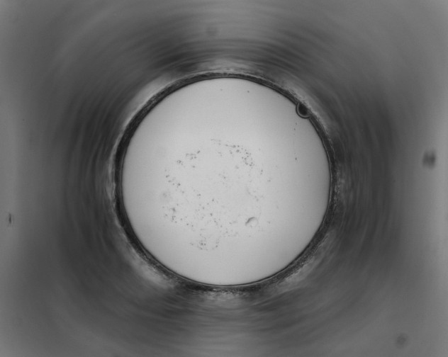 X0000102031082200808081806