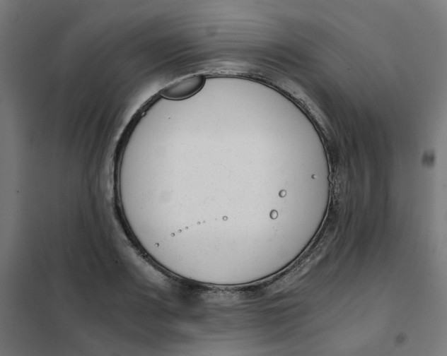 X0000102031083200808081806