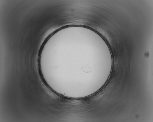 X0000102031085200808081806