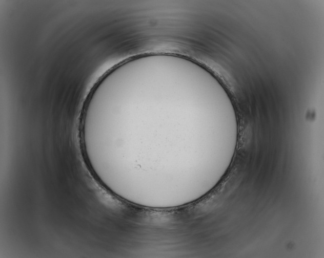 X0000102031086200808081806