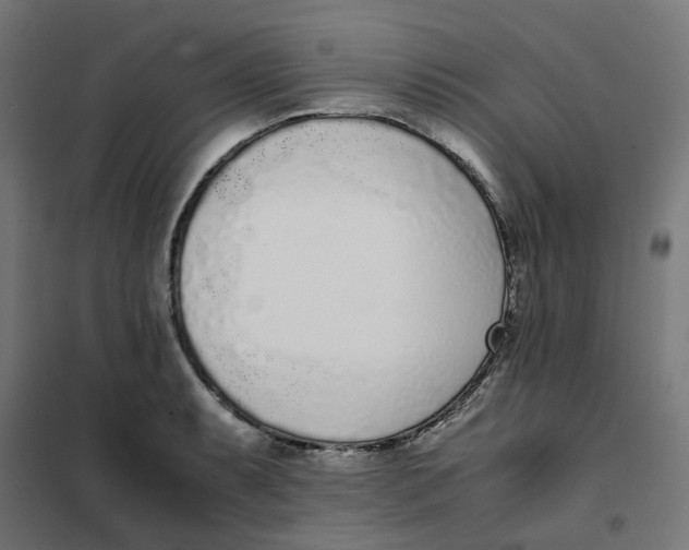 X0000102031087200808081806