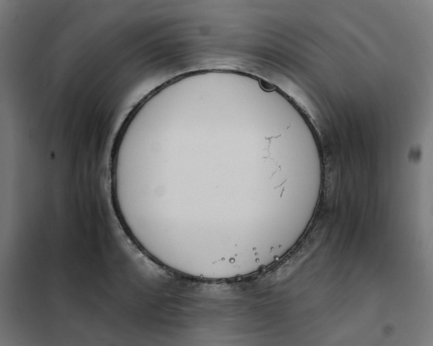 X0000102031088200808081806