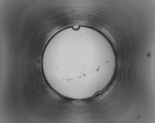 X0000102031089200808081806