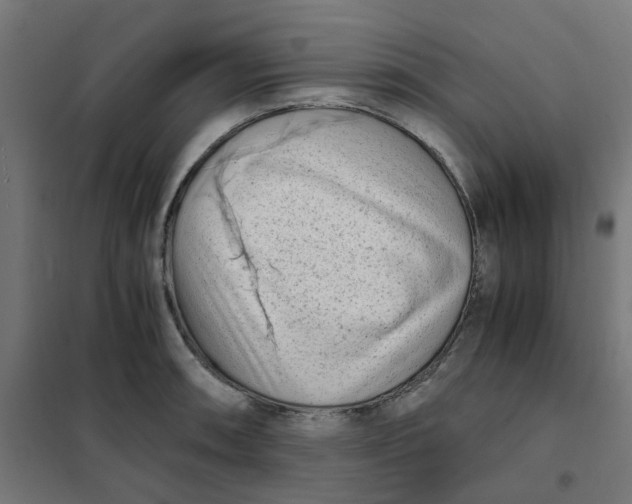 X0000102031090200808081806