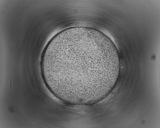 X0000102031091200808081806