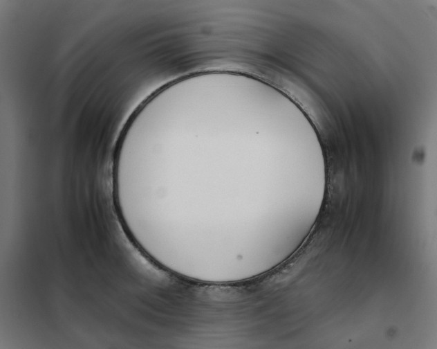 X0000102031092200808081806